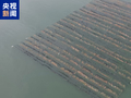 5000吨级货轮可直达重庆！长江朝天门至涪陵河段航道整治工程正式投运
