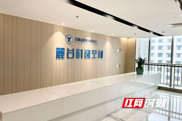 麓谷科创空间。