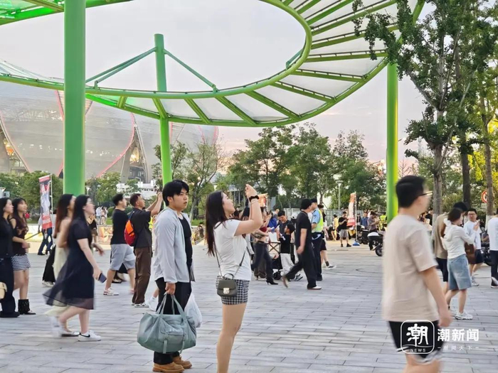 歌迷抬头拍照打卡。王伊灵 摄