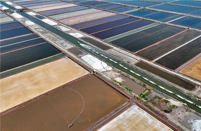 在河北省唐山市曹妃甸区南堡盐场，运盐船在河道穿梭。卢铭摄