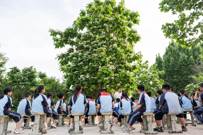 ▲5月12日，谷疃小学里，三年级的孩子们坐在校园里的树下写诗。新京报记者 王子诚 摄