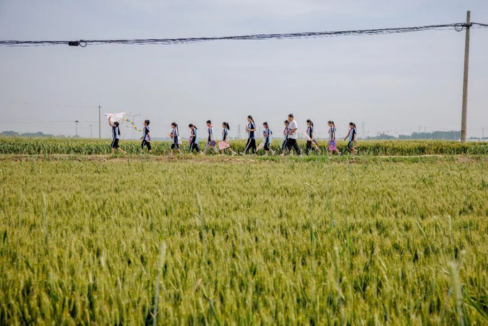 ▲5月13日，谷疃小学的孩子们走在麦田边。新京报记者 王子诚 摄