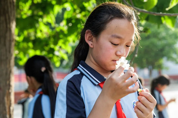 ▲5月12日，谷疃小学里，一个三年级的女孩闻着校园里花朵的味道。新京报记者 王子诚 摄