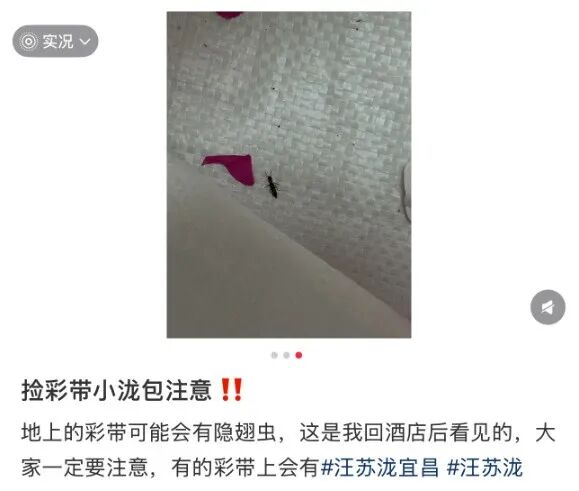 网源网友