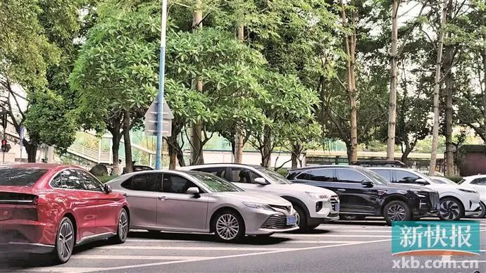 ■大沙地西路，十余辆车违停占用导流带。