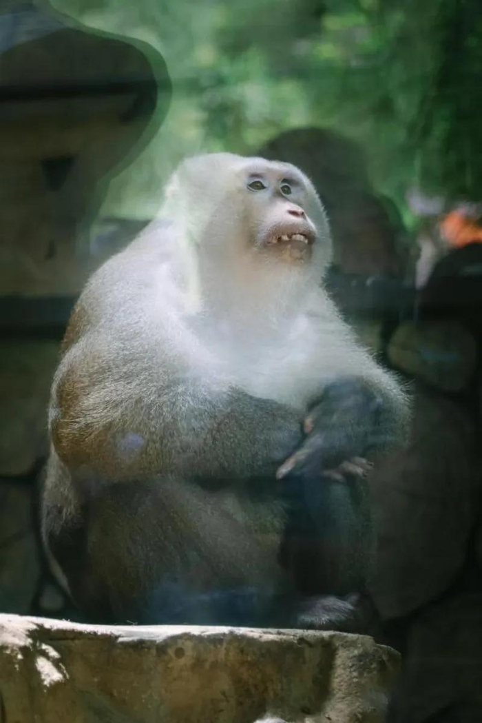 图源：爽爽贵阳 文昌云岩