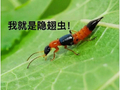 歌手汪苏泷演唱会上一个动作引网友担忧：或导致皮肤溃烂！有人手臂被腐蚀流脓，痛呼“整只手都废了”