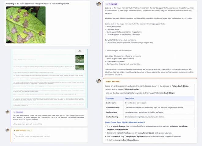 ▲Qwen3.7-Plus判断植物疾病（图源：通义实验室）