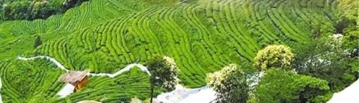 七姊妹山。（江口县委宣传部供图）