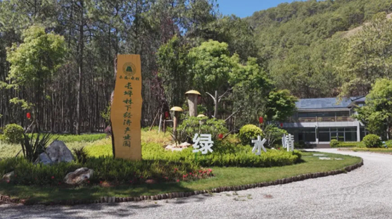 图片：永胜县长坪林下经济产业园。（丽江融媒记者 赵凤铭 摄）