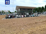 地铁站绿化带变身“麦田”？专家：需明晰空间规划定位