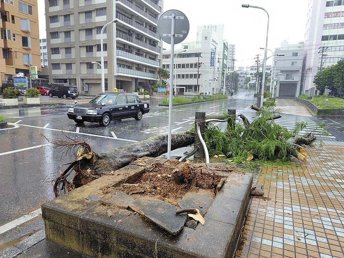 △日本（资料图）