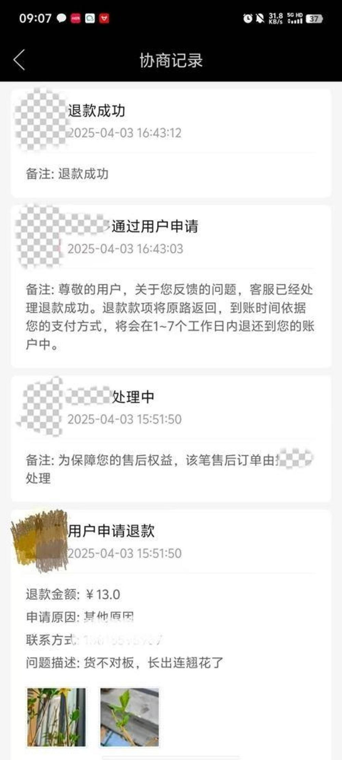 购买的“蓝莓苗”发现是“连翘”后，网友的退款申请1小时内通过。受访者供图