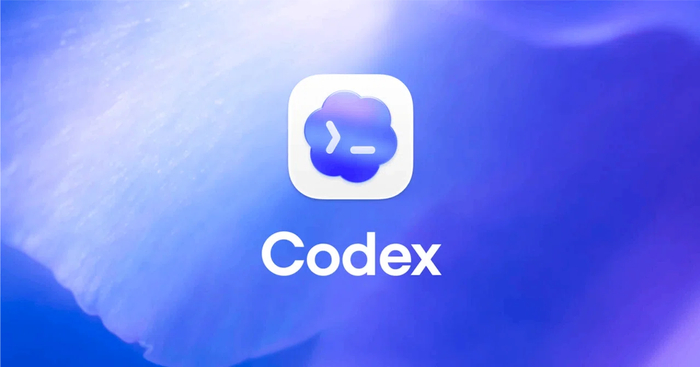 Codex 功能图