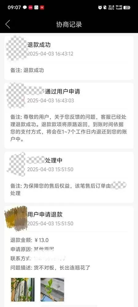购买的“蓝莓苗”发现是“连翘”后，网友的退款申请1小时内通过。受访者供图
