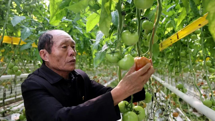 图源：濮阳市人大常委会