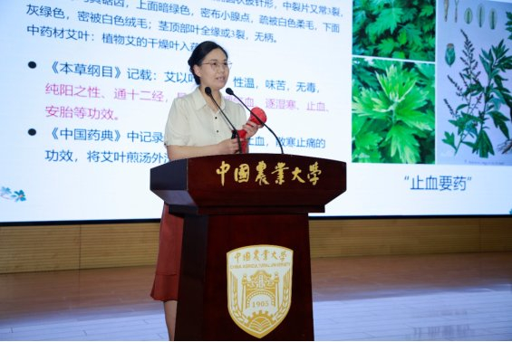 ▲北京同仁堂资深讲师张建桥讲授艾草锤制作与使用