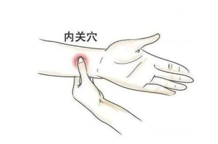 　　“镇静按钮”神门穴