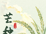 节气说廉丨芒种：芒有所种 廉有所获