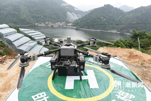 青田县三溪口街道白浦村，无人机载着一筐15公斤重的杨梅从停机坪起飞。共享联盟·青田 叶春笼 余自强 摄