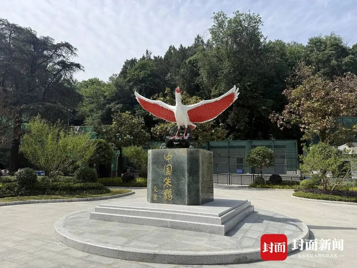 朱鹮雕像