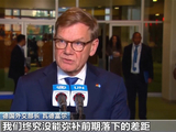 德国落选安理会非常任理事国 德外长：或因支持乌克兰和以色列