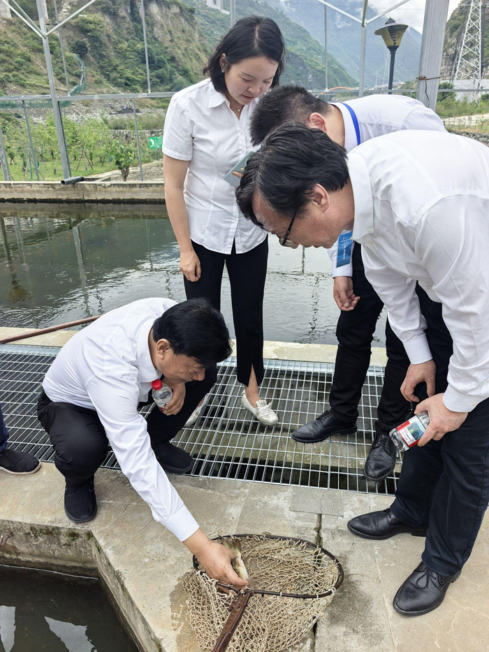 甘孜州泸定县放流活动现场。泸定县农牧农村和科技局畜牧站供图