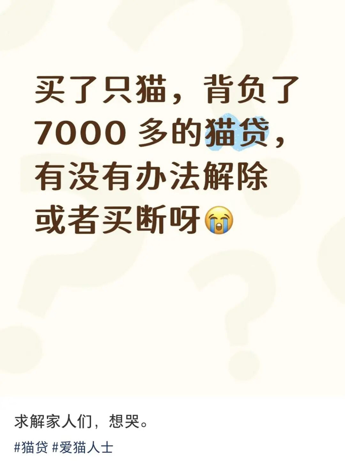 网友反映遭遇猫贷