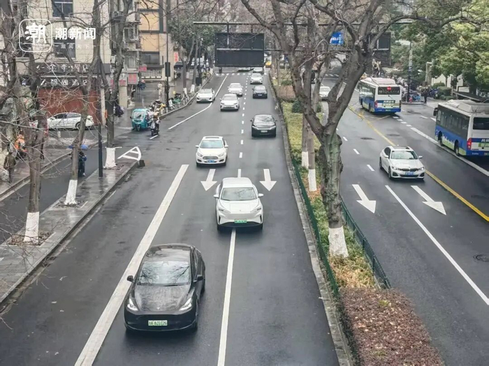 路上新能源车增多