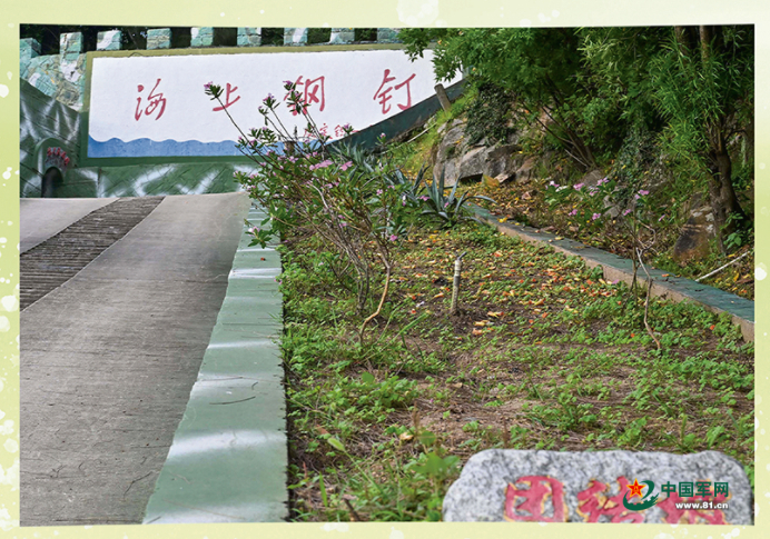 绿色的小岛，我们的家