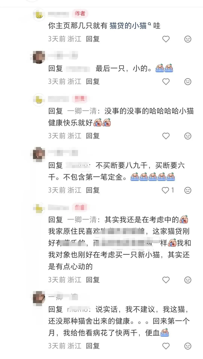 网友反映遭遇猫贷，还收到病猫