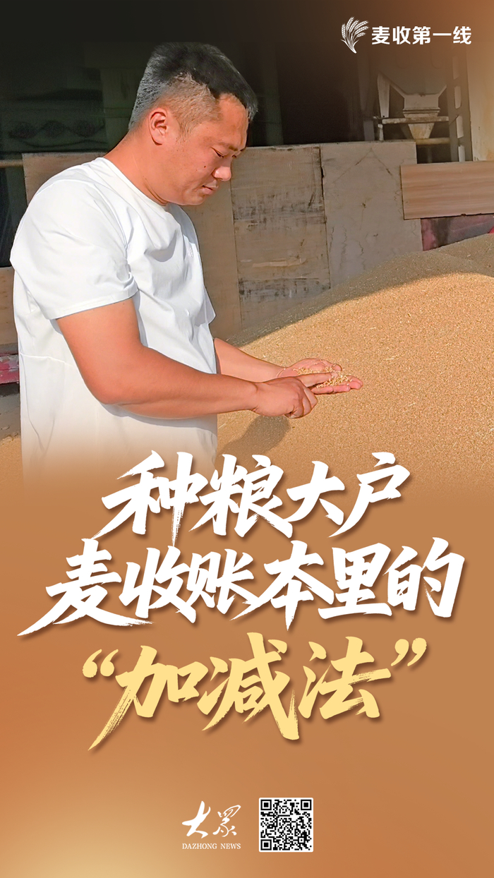 麦收第一线丨晚播20天，亩产依然近1200斤！这位山东农民的“麦收账”藏着什么秘密？