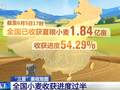 全国小麦收获进度已过半 多地抢收、烘干齐发力守护群众“粮袋子”