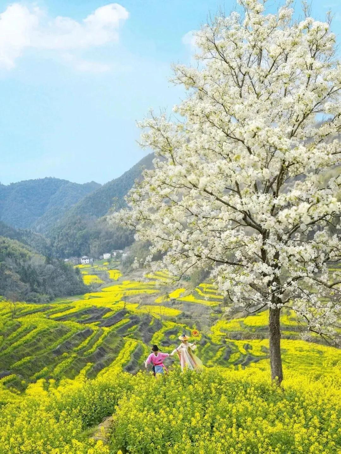 图源：婺源弦高城景区