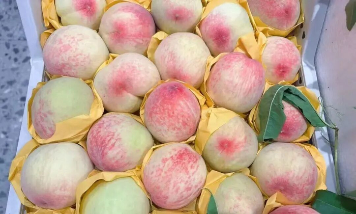 奉化水蜜桃