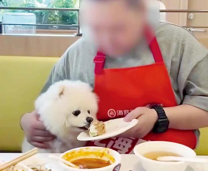 图/视频截图