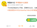 华为MatePad Mini 2下半年发布：麒麟9系旗舰芯 能打电话的小平板