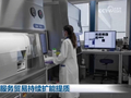 我国服务贸易持续扩能提质