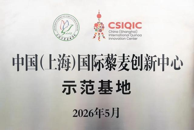 图 / 木然农场获颁“中国（上海）国际藜麦创新中心示范基地” 