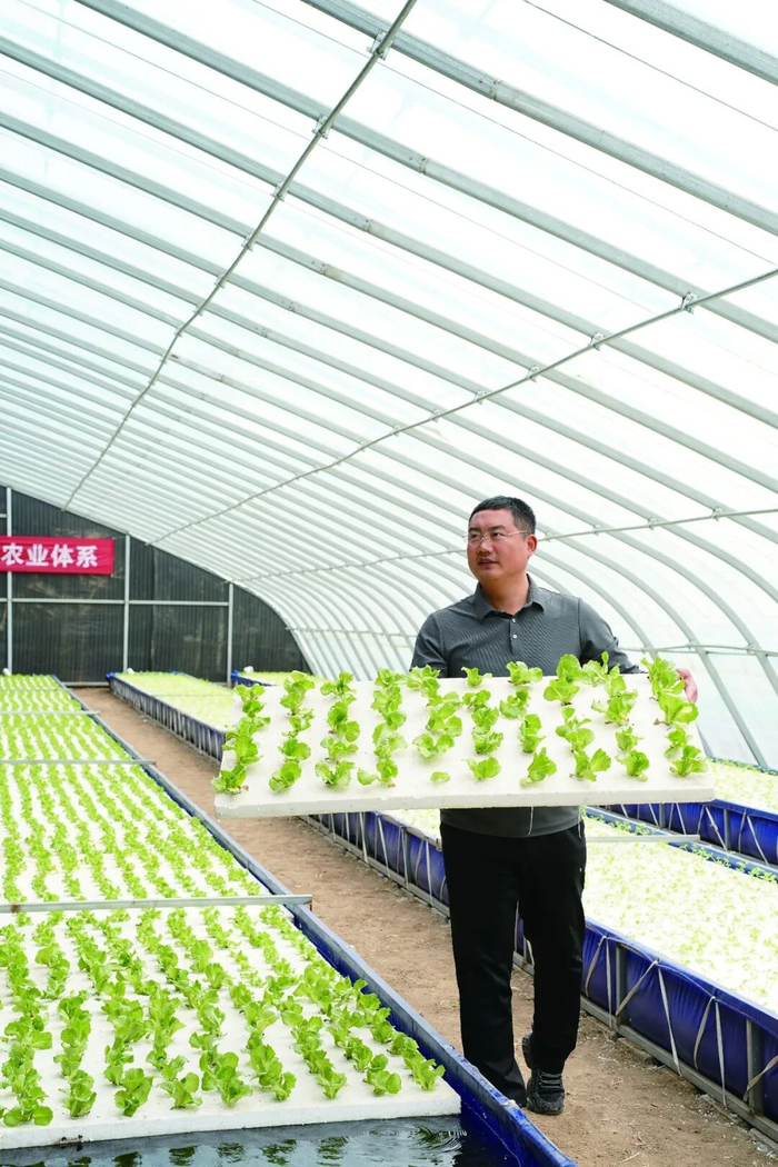        李瑶在做“鱼菜共生”的水培苗