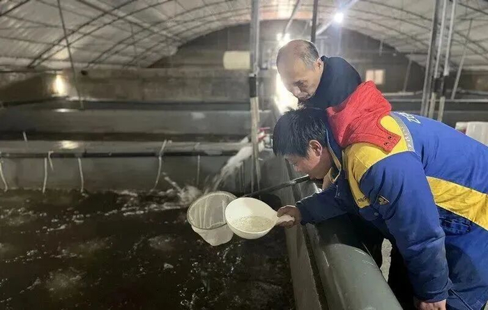 在唐山海港经济开发区的一家工厂化循环水养殖场，工作人员正查看虾幼苗生长情况。图源：唐山农业信息网