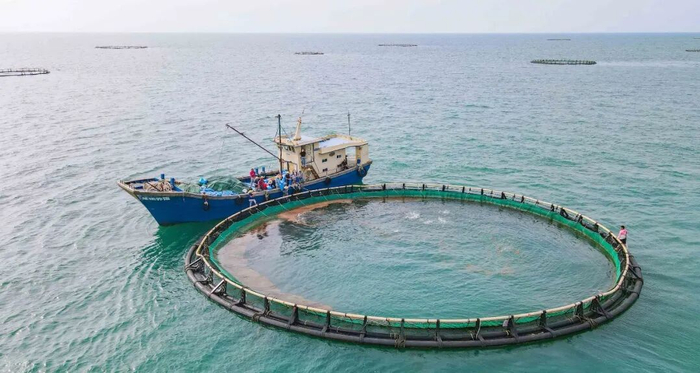 昌江海尾镇的深海养殖。海南日报全媒体记者 陈元才 摄