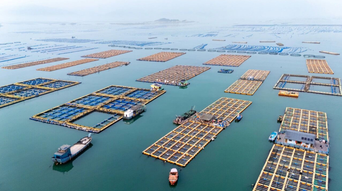 图源：海连江