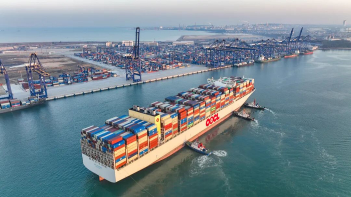 总载重吨16万吨、船长367米的“东方紫荆花”轮缓缓驶入洋浦国际集装箱码头。海南日报全媒体记者 陈元才 摄