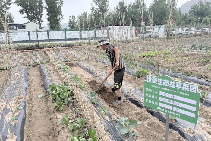 ▲山野蛋屋全托管模式