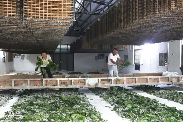 图片来源/