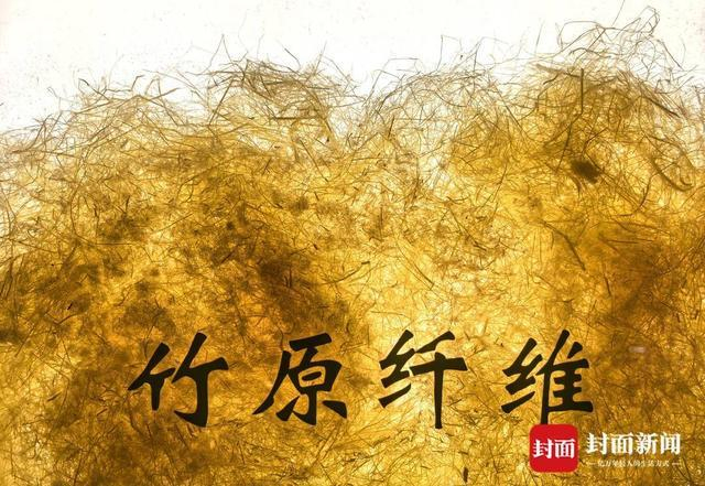 利用超声波微气流绿色分离技术提取的竹原纤维。曾业 摄