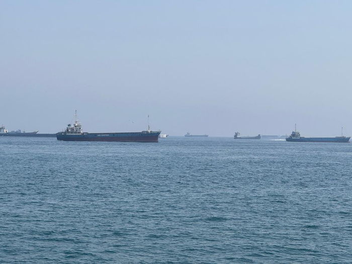 这是5月29日在阿曼北部小镇海塞卜拍摄的滞留在霍尔木兹海峡水域的商船（手机照片）。新华社记者温新年摄