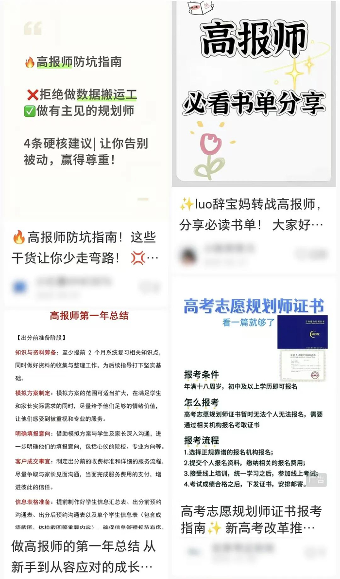 部分平台上的“高报师”相关内容