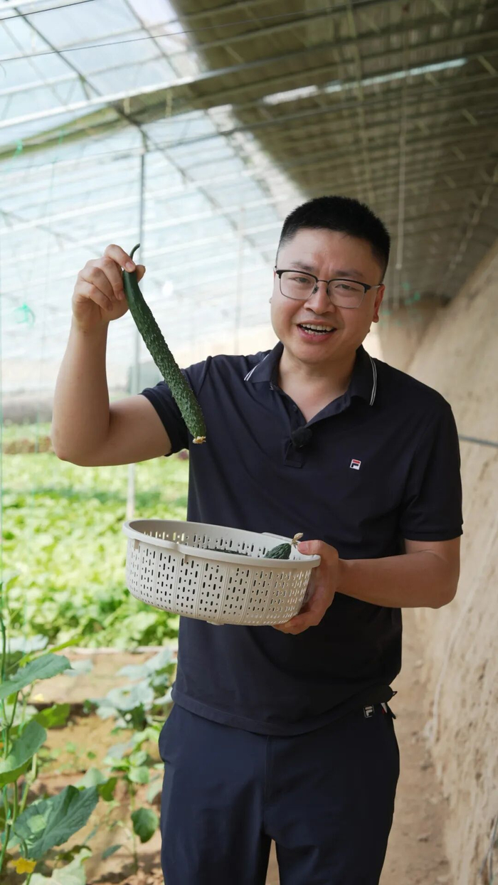 ▲刘仕钦向记者展示刚摘下的黄瓜